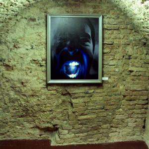 RITRATTO ALL'ORDINARIA FOLLIA.