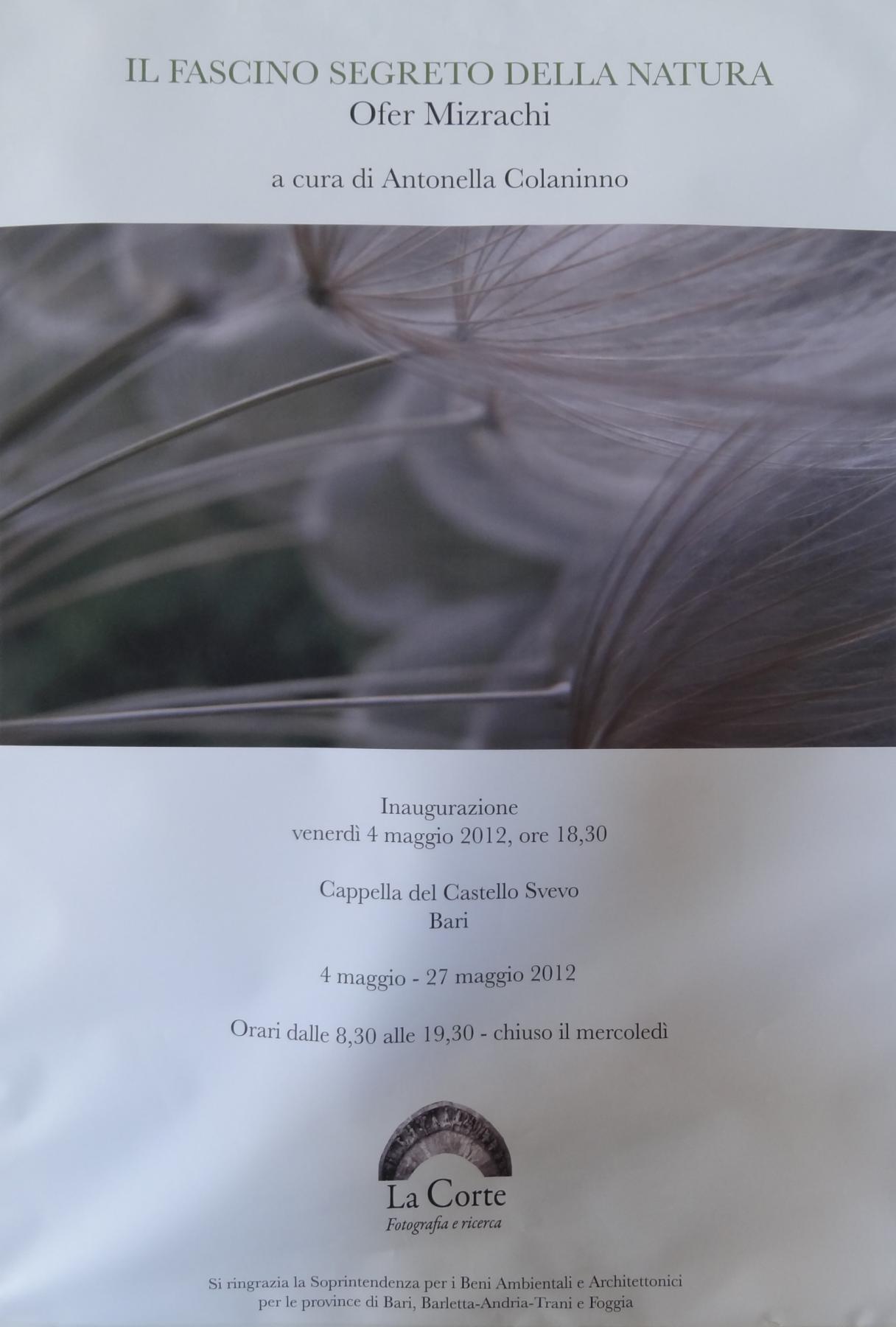 Ofer MizraChi “Il fascino segreto della natura” a cura di Antonella Colaninno