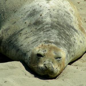 Argentina. Patagonia