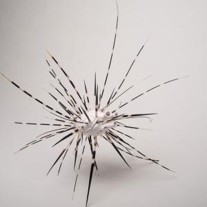 Inside/Rinascite di Erjon Nazeraj Inside/Rinascite di Erjon Nazeraj