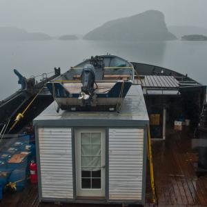 USA. Alaska 3/3. Indagine sulla materia pura