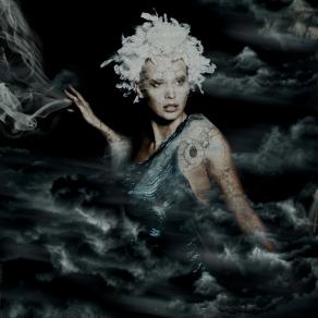 Fight - lambda print on dibond - 2010