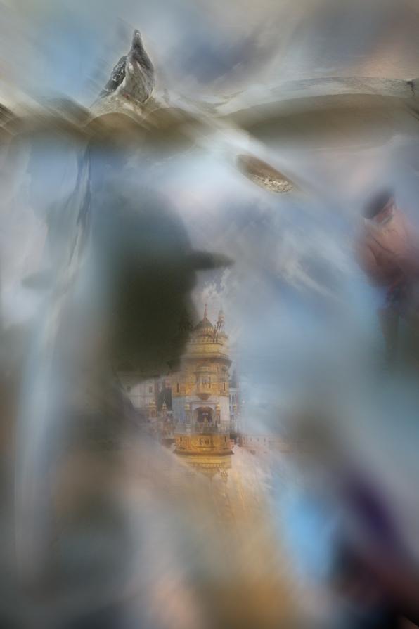 Viaggio alla Salgari....sveglia maurino ti ha schittato in testa.