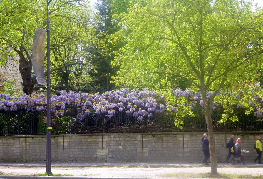 Le printemps à Paris