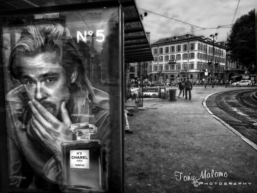 Waiting for the Number 5 (TramLIne)