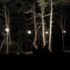 Punto Zero, at Treeboo festival