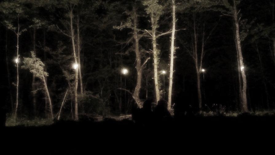 Punto Zero, at Treeboo festival