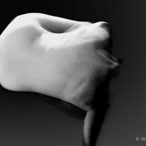 LaTestaPerdutaDi...#5