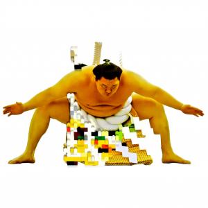 sumofighter sumofighter