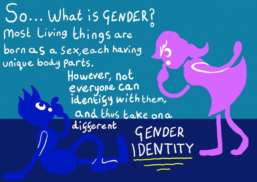 Gender and You