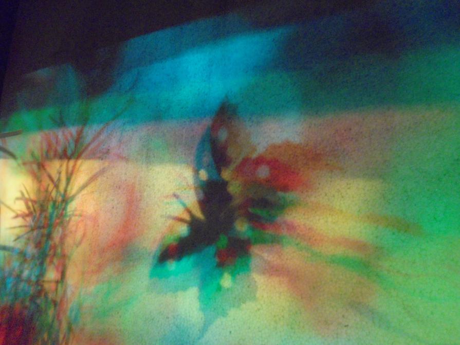 I colori della biodiversità -2016