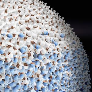 vasi comunicanti (detail)