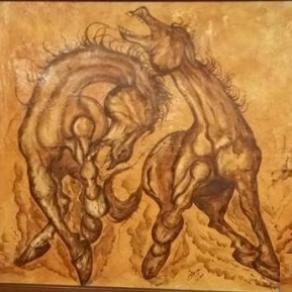 Akira -Graceful Power