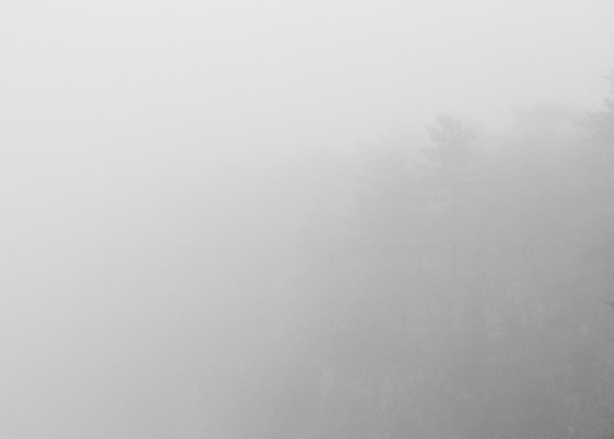 Nature in conflict (Massimo Goina e Fabiola Faidiga)