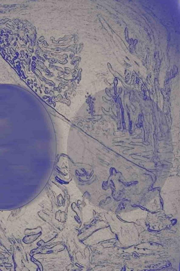 landscape in a hat arabworld