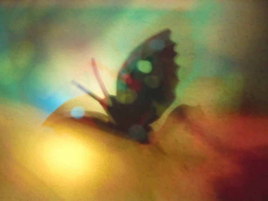 I COLORI DELLA BIODIVERSITÀ