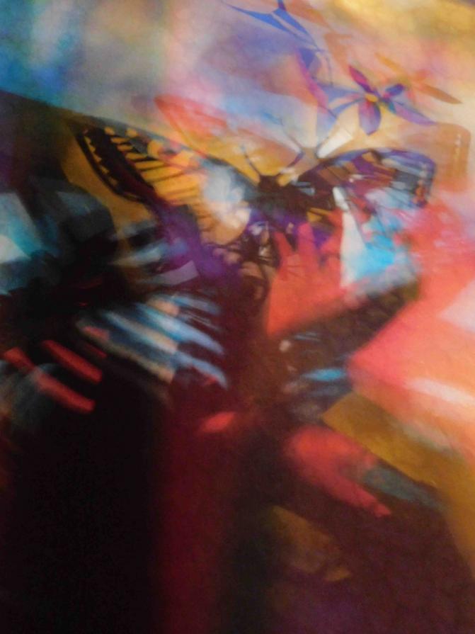 I COLORI DELLA BIODIVERSITÀ