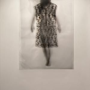 Plastic Bag Plastic Bag