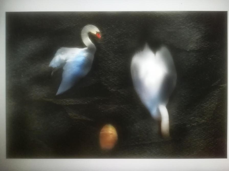 Il pane è lì non sotto. 