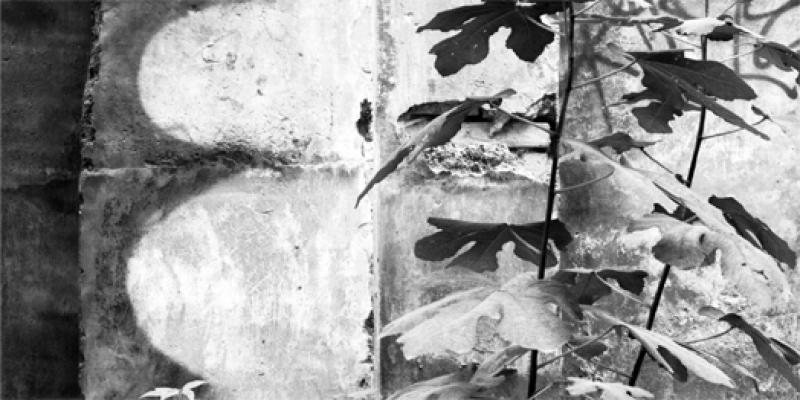 Quattro pezzi facili di Serafino Amato e William Pettit