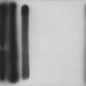 Segni: dalla mano alla luce. Hans Hartung e Bruno Di Bello