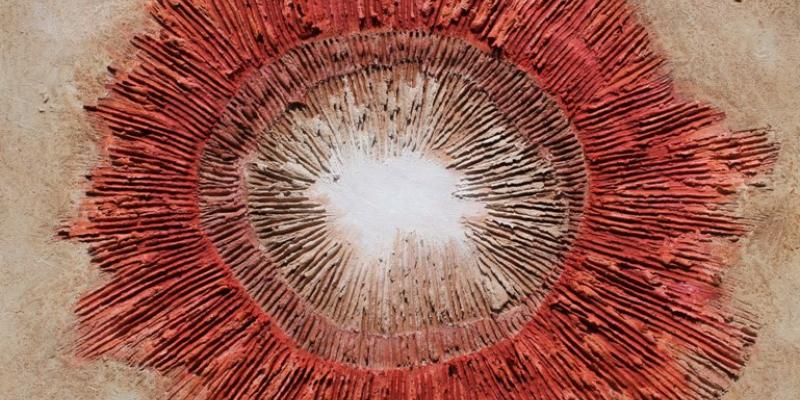 Mara Fabbro Personale Mara Fabbro Personale