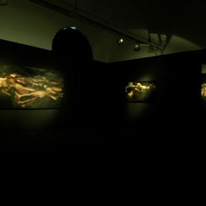 ROBERTA CONI-TENTAR LA CARNE inferno I