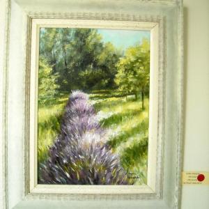 Altra Natura a Revere (mn)