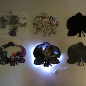 SPESSORI DI LUCE  - collettiva fotografica