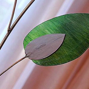 Natura:Luci e Ombre a Modena.