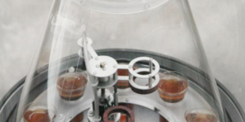 stARTers con Stefan Schwabe