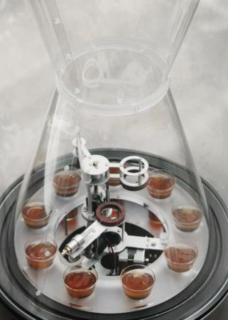 stARTers con Stefan Schwabe