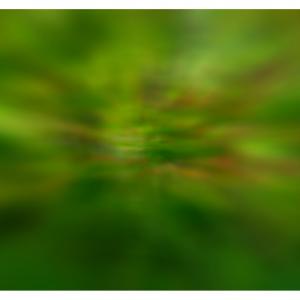 Undicesimo Step Espositivo del Premio Art Caffè Letterario