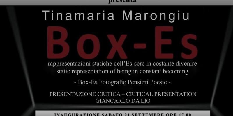 EMBASSY OF VENICE hosts Tinamaria Marongiu "Box-Es Pictures Poems"