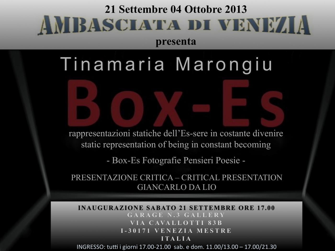 EMBASSY OF VENICE hosts Tinamaria Marongiu "Box-Es Pictures Poems"