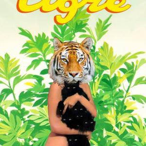 Tigre 