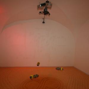 "BIOUNICITA' " di Vito Mazzocchi