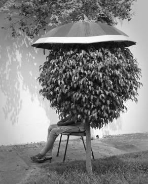 Umbrella Lady Umbrella Lady