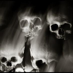 Skulls (Skull, Teschi, Teschio) - fotografia di Augusto De Luca. 10