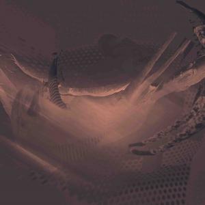 Light, Fire and the boat