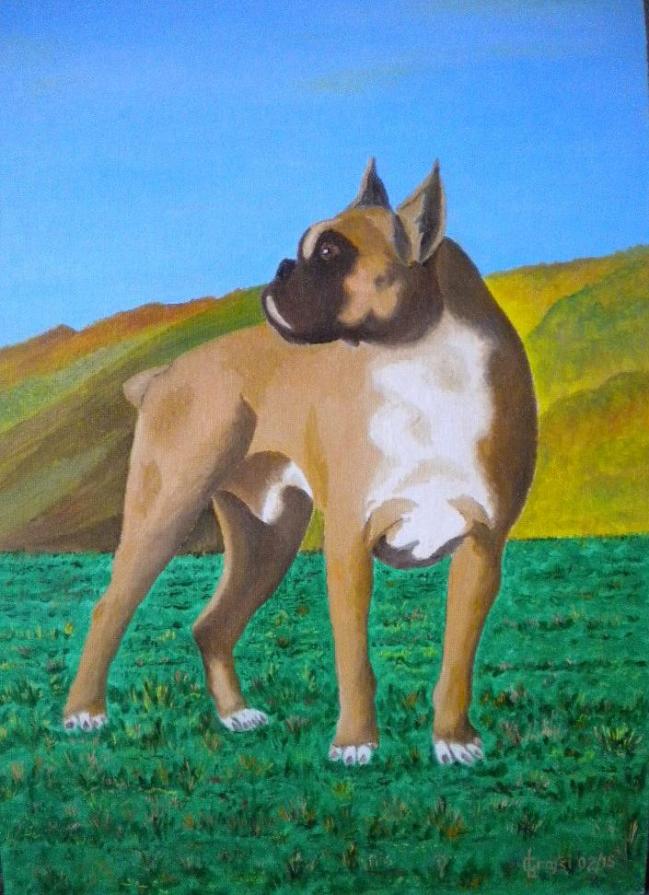 LG 0270 - Sherman, il boxer