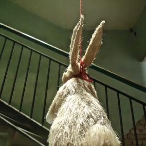Träume sind Schäume "Year of the rabbit (2023)" Träume sind Schäume