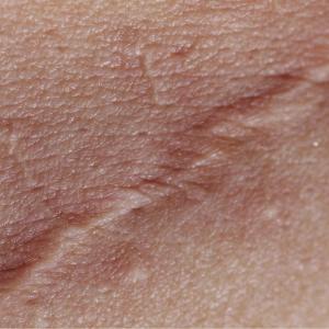 Memoria en construccion-2 M Cordoba 10X15CM Fotografia Digital 2015 Memoria en construccion-2 M Cordoba 10X15CM Fotografia Digital 2015