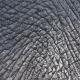 Elephant skin