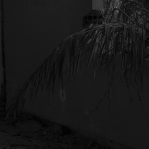 Senza titolo dalla serie 