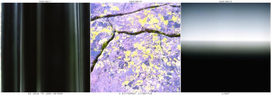 From the series “Desire"