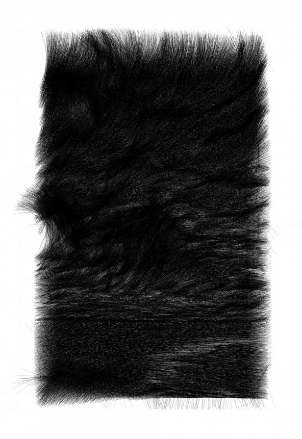 High Fidelity Fur High Fidelity Fur