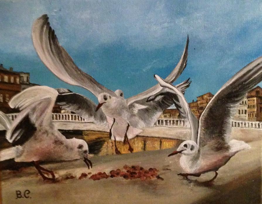 Gabbiani sul fiume Arno (Pi)