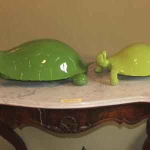 Natura:Luci e Ombre a Modena.