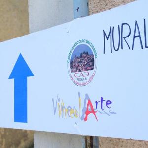 VINEOL ARTE (concorso per promuovere la creatività) 2/3 Agosto 2014, Pignola (Pz).